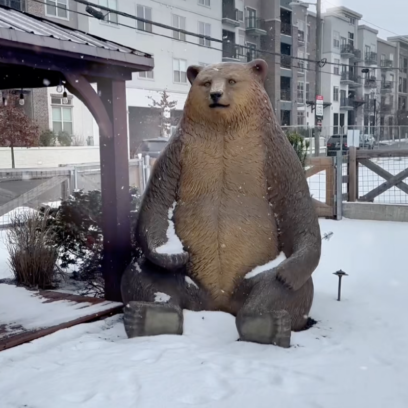 Screenshot 2026-01-24 at 10.15.39 AM